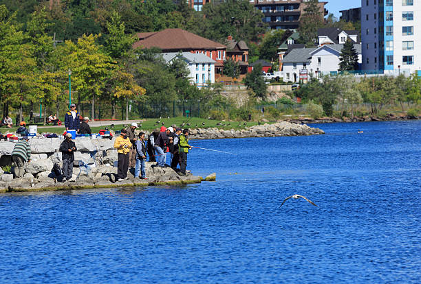 Lake Simcoe, a primary source of Barrie's water supply