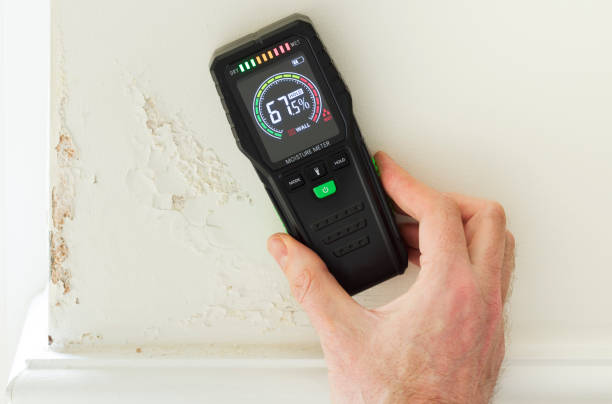 Plumber explaining the leak detection process to a homeowner.