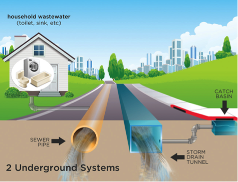 Diagram of the types of sewers